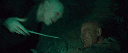 Grindelwald_and_Voldemort